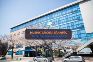 Trường Đại học PaiChai Hàn Quốc