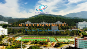 Đại học Chosun