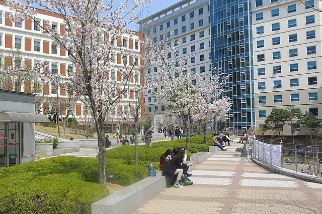 Sinh viên đại học Sogang Hàn Quốc 
